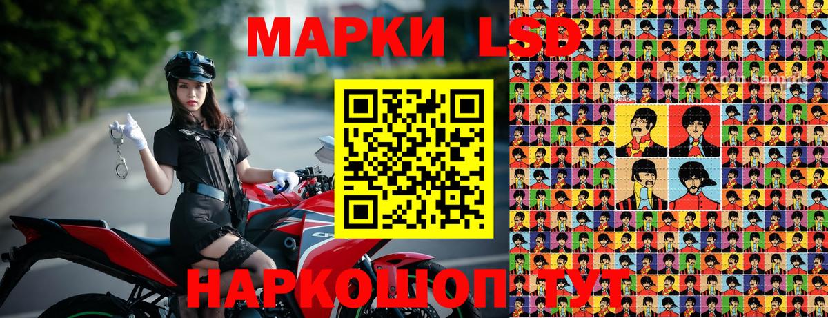 Большой Камень  Наркотические марки 1500мкг  Вход с VPN  Наркотические марки 1500мкг 