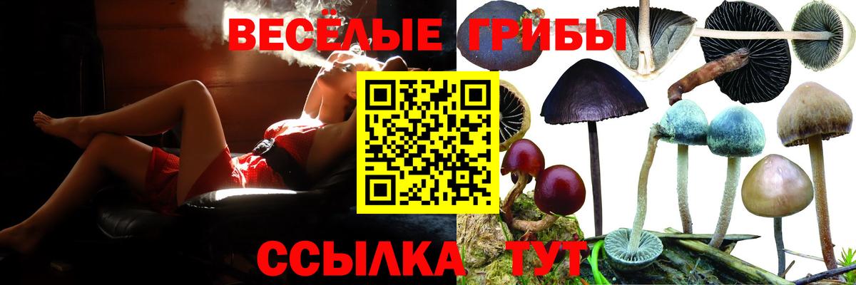 Галлюциногенные грибы прущие грибы  Вход с VPN  Галлюциногенные грибы мицелий  Большой Камень 
